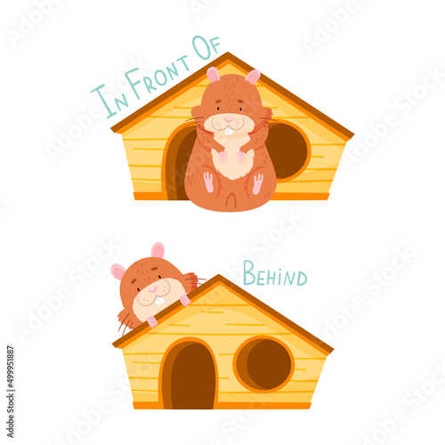 English prepositions of place set. Cute hamster sitting in front of and behind the house. Educational material for kids cartoon vector illustration
