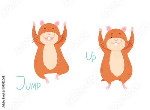 Cute hamster demonstrating English preposition of place and verb. Jump and up words cartoon vector illustration