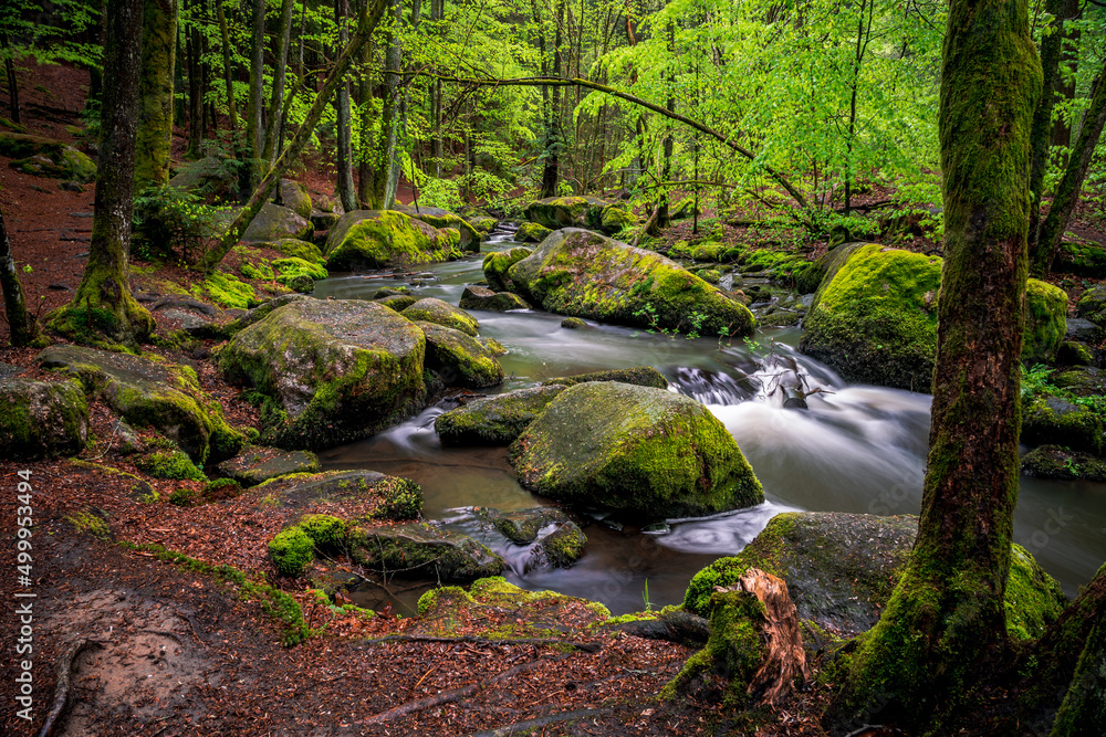 Green Waterfall River Rocks Covered With Green Moss Forest Waterfall. forest with a waterfall. Quiet and pleasant environment for tourism. Forest area with watercourse in Bavaria Germany Green Waterfall River Rocks Covered With Green Moss Forest Waterfall. forest with a waterfall. Quiet and pleasant environment for tourism. Forest area with watercourse in Bavaria Germany