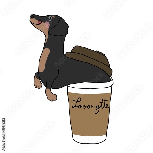 Dachshund dog in coffee cup with Looooongtte word cartoon vector illustration	