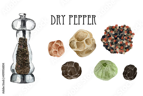 Watercolor black, red and white dry peppercornes in wooden bowl and spoon. Kitchen pepper spices and herbs set.