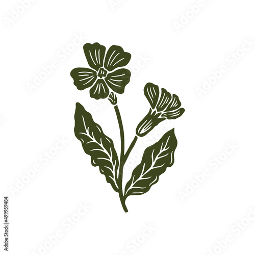 Vintage Hand Drawn Floral Illustration