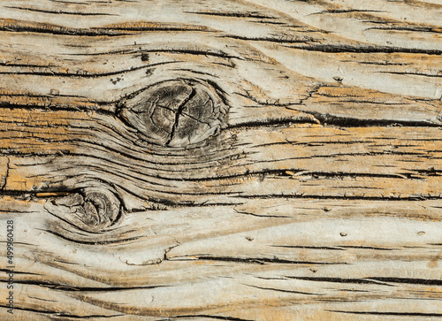 Natural wood surface texture for background.