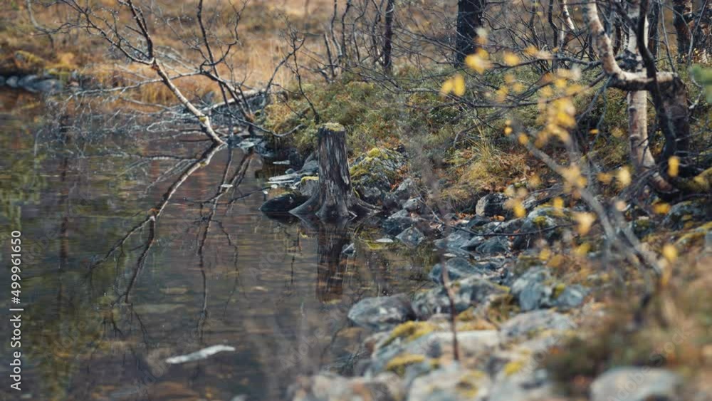 A tranquil scene. Rocky bank and autumn trees are reflected in the mirrorlike still waters of the lake. Slow-motion, blurry foreground. A tranquil scene. Rocky bank and autumn trees are reflected in the mirrorlike still waters of the lake. Slow-motion, blurry foreground.