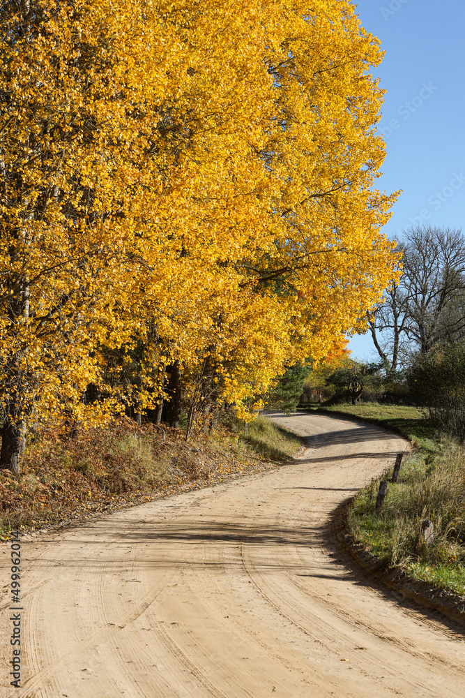 Beautiful curvy countryside gravel road with autumn trees on sides.