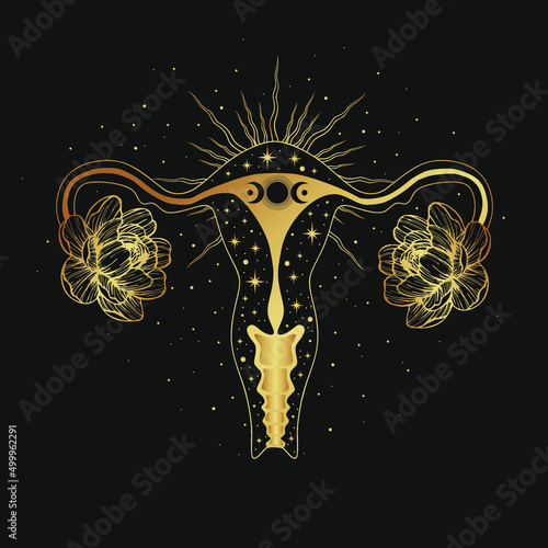 Beautiful female reproductive organs with crescent. Uterus, womb major female reproductive sex organ and stars. Feminism concept. Woman's symbol. 