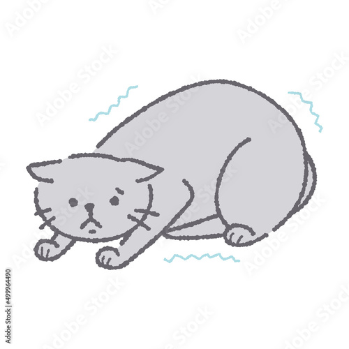 震える猫のイラスト