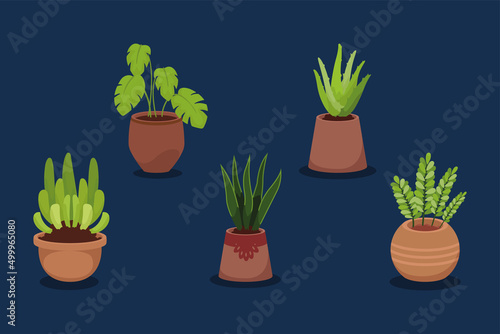 five houseplants decorative icons