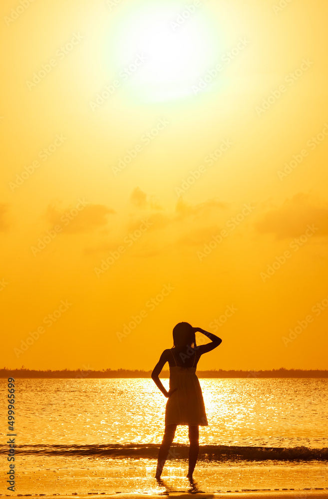 Silhouette of woman in dress watching tropical sunset