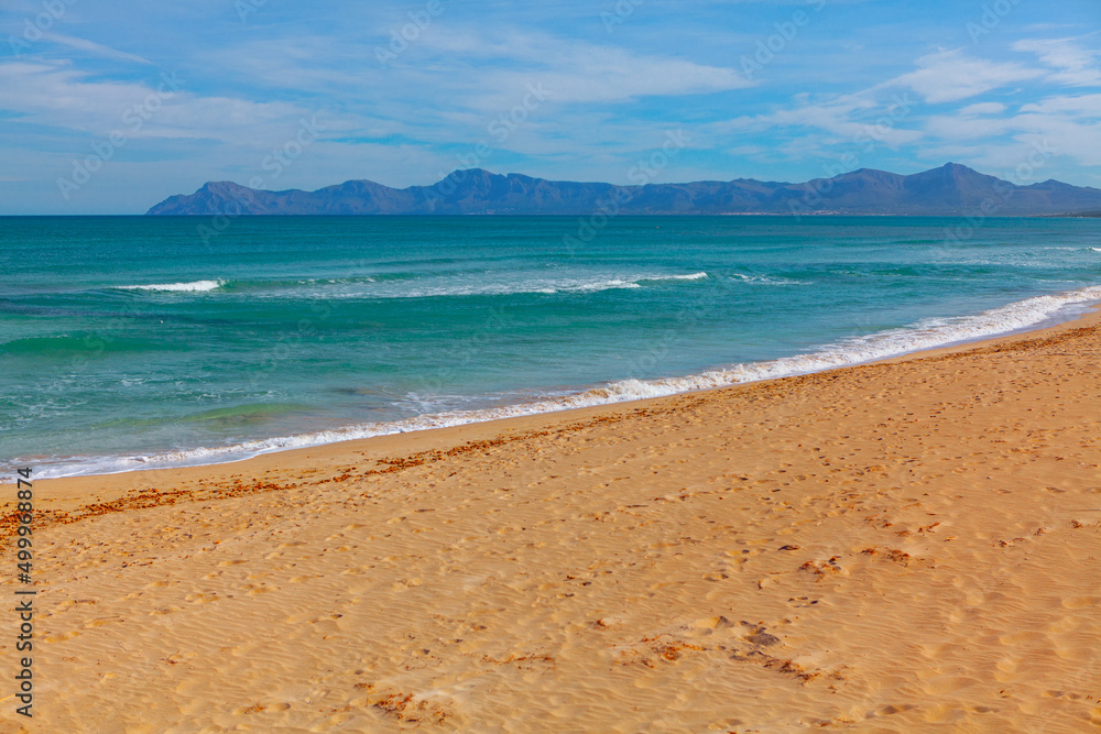 Playa del Muro Beach . Alcudia Bay with sandy coast . Balearic Sea and beach of Mallorca islands in Spain 