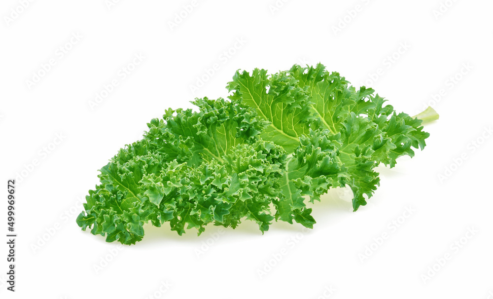 Kale leaf salad vegetable isolated on white background Kale leaf salad vegetable isolated on white background