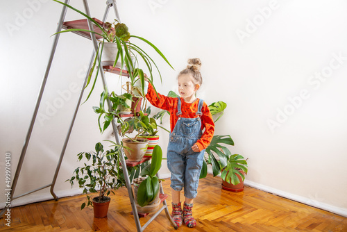 Child in denim overalls watering from a watering can.houseplants.in the greenhouse. Little girl takes care of green plants in the room. Home gardening, love of plants and care. photo