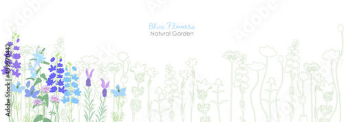 さわやかな青い草花のナチュラルガーデン photo