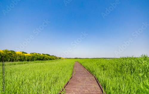 Scenery of Tianjin Xiqing Country Park photo