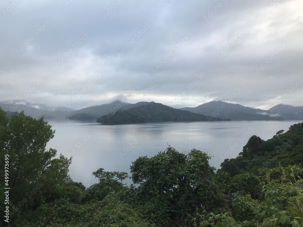 Queen Charlotte Drive View New Zealand