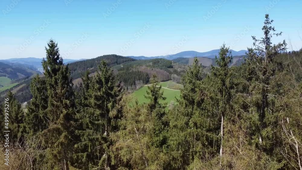 Fly over the Black Forest in south Germany Fly over the Black Forest in south Germany