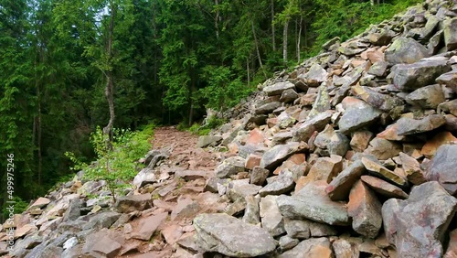 The hike to the Mount Khomyak, Gorgany Mountain Range, Bukovel, Ukraine photo