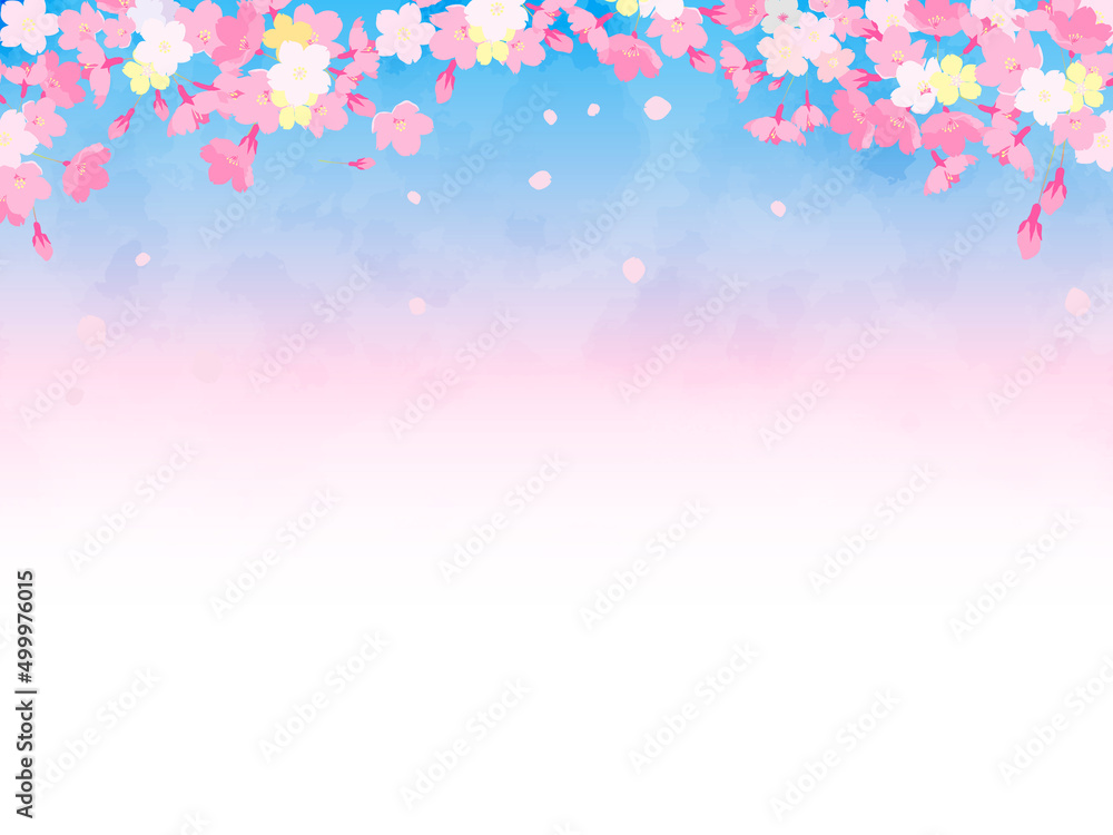 桜　背景
