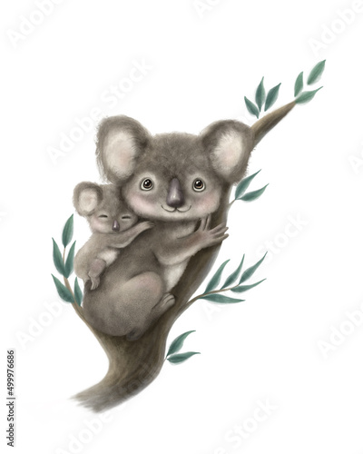 Canvas Print Cute Illustration of Koala Mother and Child