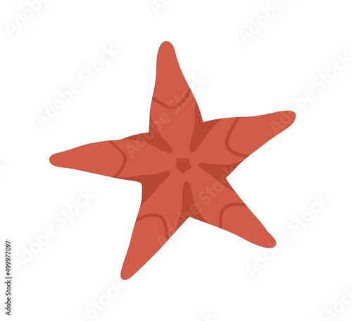 Sea star fish. Marine underwater starfish, mollusc. Undersea five-pointed mollusk. Exotic tropical invertebrate ocean animal. Beach decoration. Flat vector illustration isolated on white background