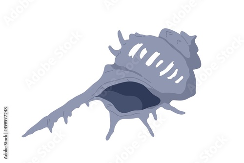 Sea underwater shell with spikes. Seashell, undersea mollusc. Twisted spiral ...
