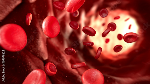 Red blood cells flowing through capillary, illustration