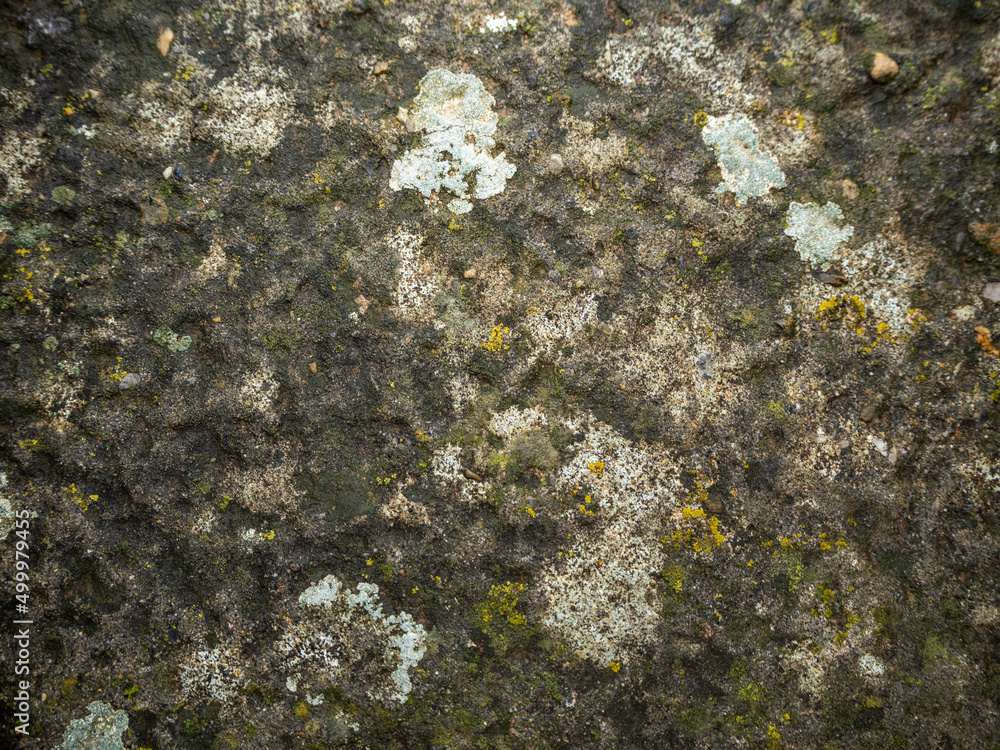 imagen textura de una piedra cortada a golpes con moho amarillo y blanco imagen textura de una piedra cortada a golpes con moho amarillo y blanco