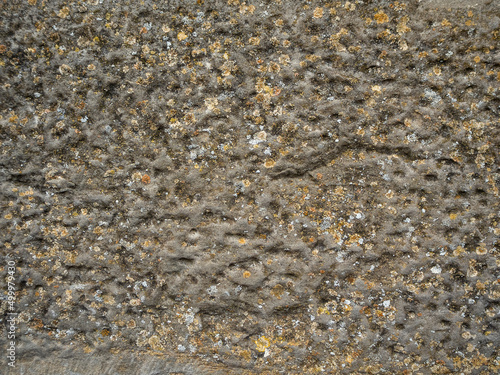 imagen textura de una piedra cortada a golpes con moho amarillo y blanco © carles