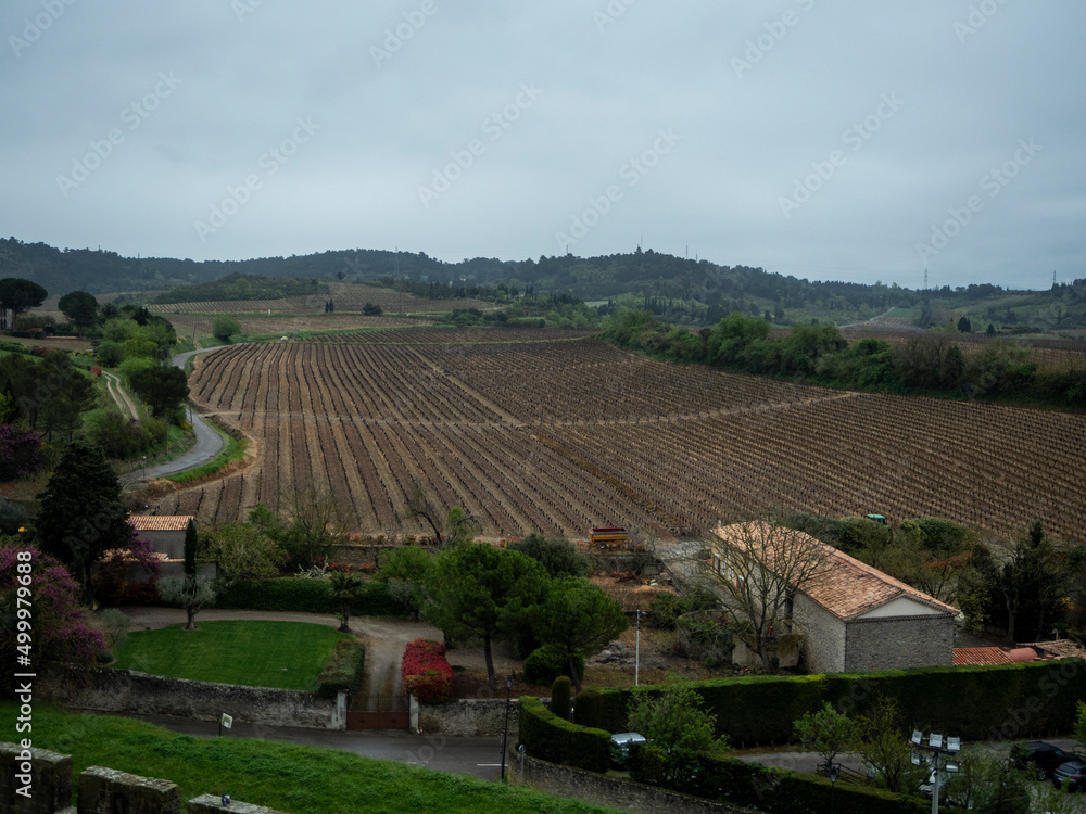 campos de viñedos secos con el cielo nublado campos de viñedos secos con el cielo nublado