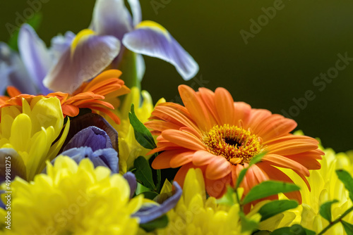 Close-up of spring flowers