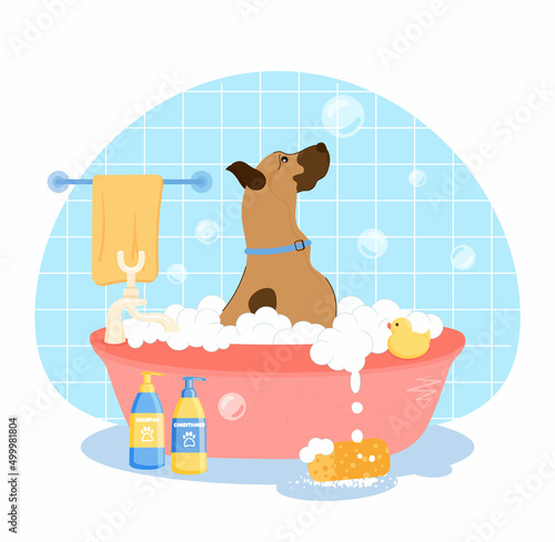 Cute Great Dane dog character, takes a bubble bath, with blue tile in background. Pet grooming concept. Dog washing service the grooming salon. Cartoon flat vector illustration.