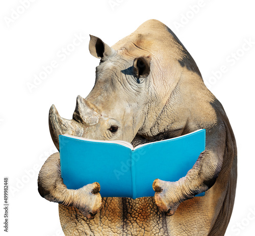 Smart rhino reading a book front view isolated on white
