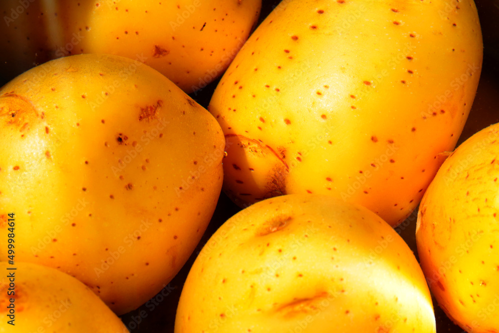 Beautiful yellow young potato. Tasty food. Boiled food. Beautiful yellow young potato. Tasty food. Boiled food.