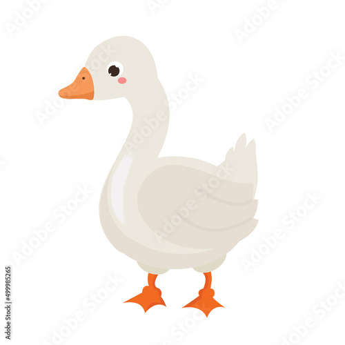 Cartoon goose. Farm bird character