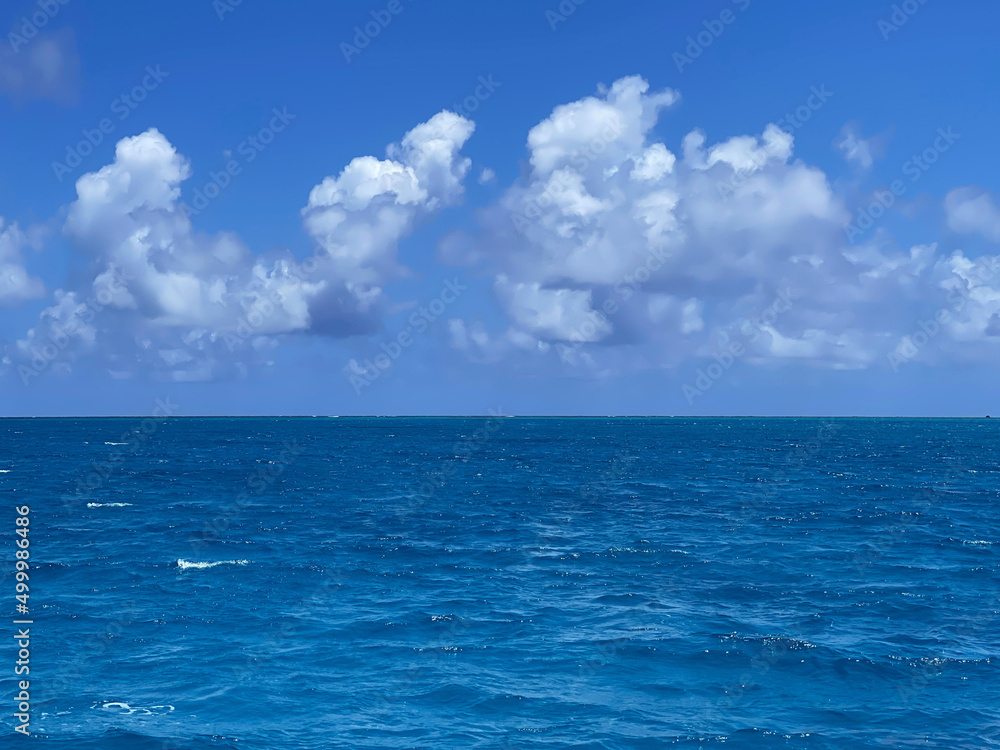 Fototapeta premium 観光スポット・黒島の海（八重山諸島・沖縄）