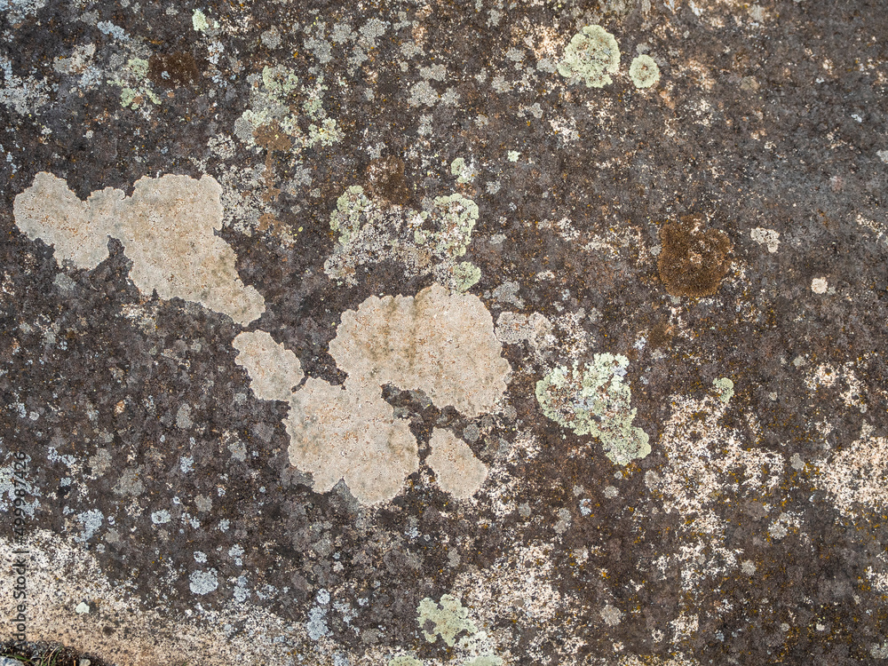 imagen textura piedra oscura con marcas blancas imagen textura piedra oscura con marcas blancas
