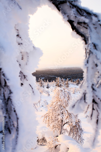 Snowscape © Natasha