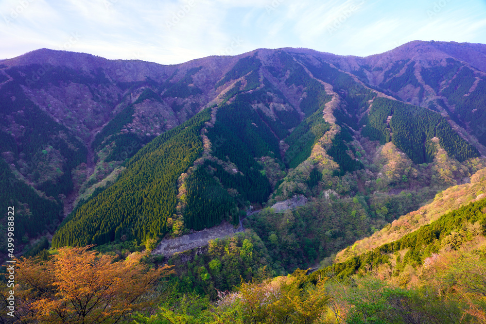 Obraz premium ナメゴ谷春風景