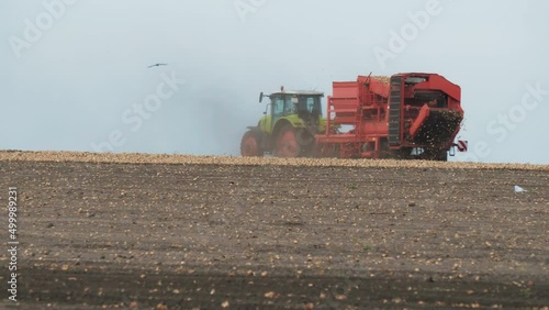 Wallpaper Mural Harvester collects onions in field. Modern combine harvesting vegetables on farmland. Versatile machine performing agricultural work. Farmer with farm equipment gathering bulbs Torontodigital.ca