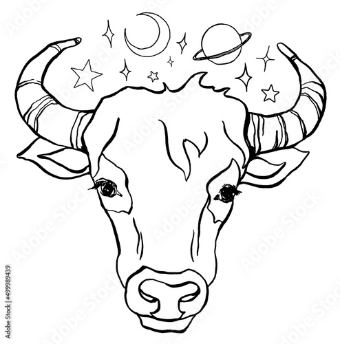 Vector taurus zodiac sign. Hand painted astrology card isolated on white background. Minimal line art illustration for design, print, fabric or background.