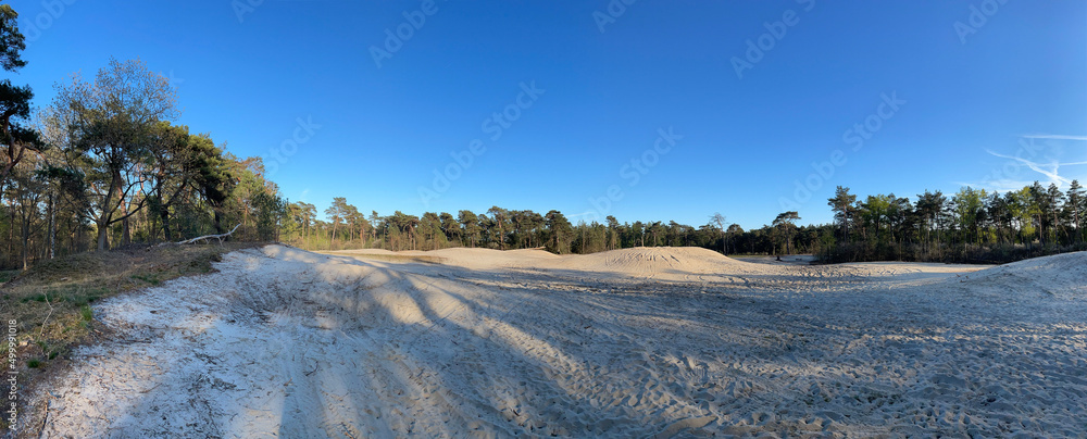 Panorama from the sand dunes and forest around Beerze