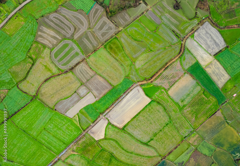 Fototapeta premium Aerial scenery of rural fields in southern