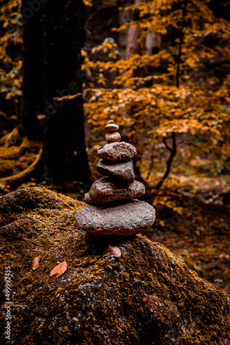 Canvas Print zen stones on the water