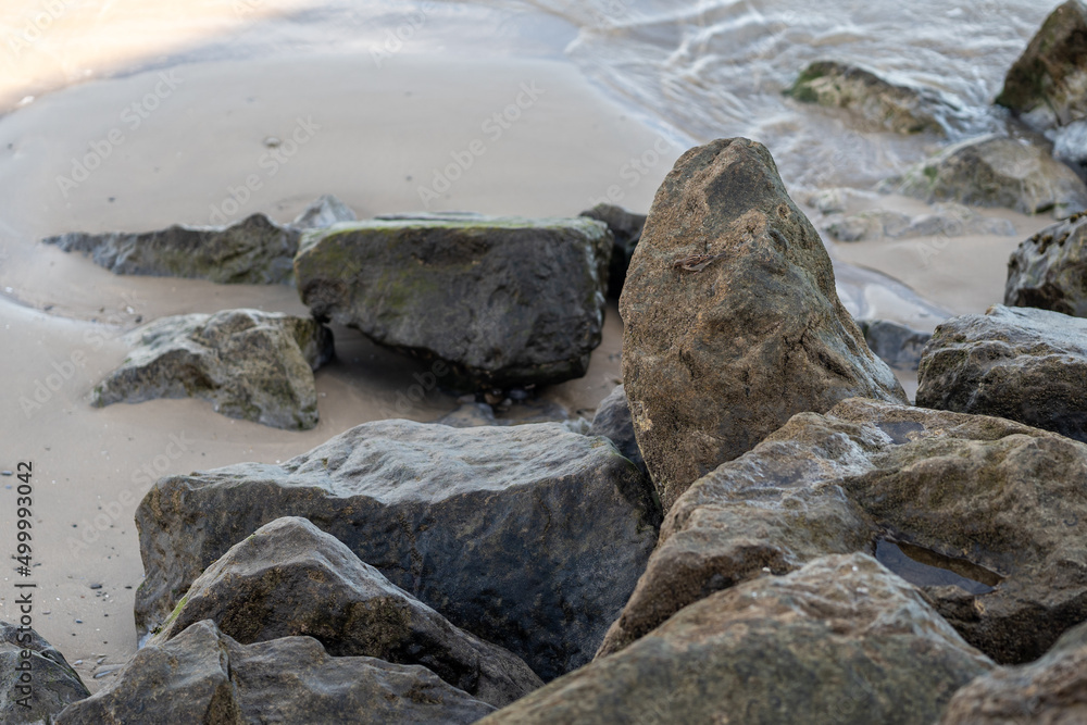 bird perched on the stones on the shore of the beach bird perched on the stones on the shore of the beach