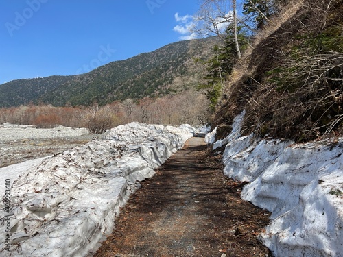 上高地 徳沢 横尾 遊歩道 長野県 photo