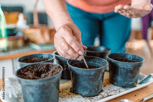 Farmers woman hands with gardening gloves planting seeds in pot at home
