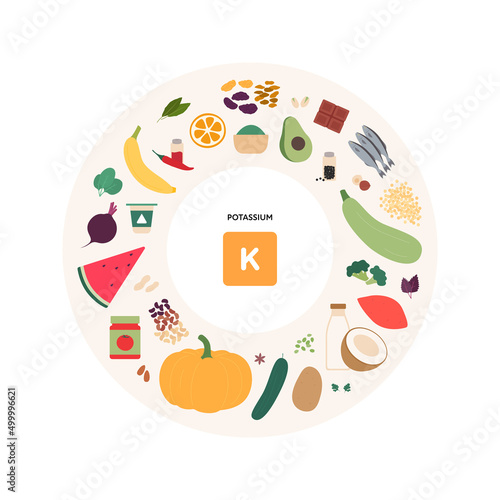 Healthy food micronutrients guide concept. Vector flat illustration. Collection of potassium product sources. Colorful set of seeds, seafood, vegetables, fruits symbol set. photo