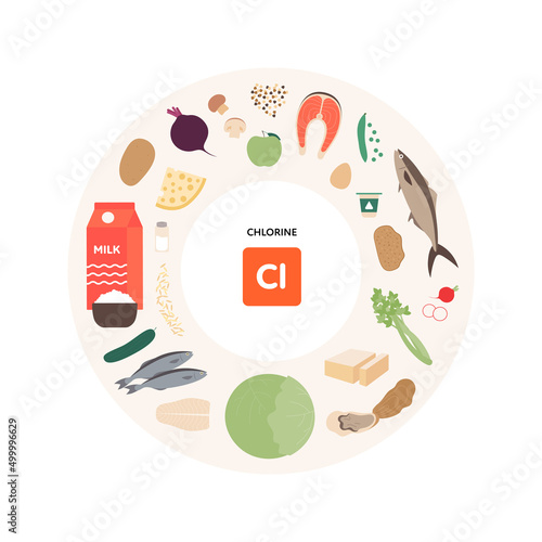 Healthy food micronutrients guide concept. Vector flat illustration. Collection of chlorine product sources. Colorful set of seeds, seafood, vegetables, nuts and dairy products symbol set.