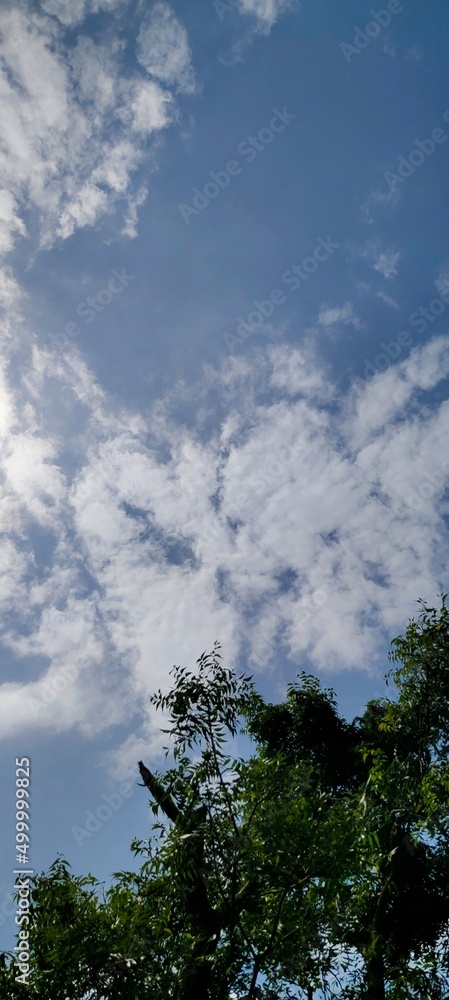 Fototapeta premium clouds and sky