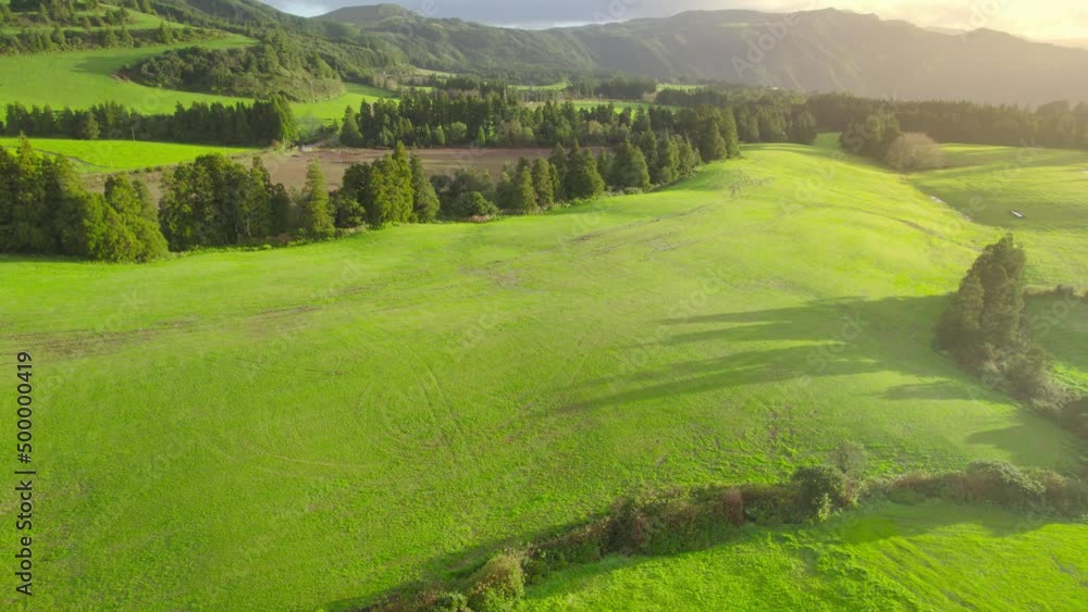 idyllic green meadow, lush rolling fields on hills in the countryside, aerial view of morning green hills in the Azores on a sunny summer day idyllic green meadow, lush rolling fields on hills in the countryside, aerial view of morning green hills in the Azores on a sunny summer day